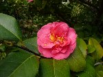 䏊