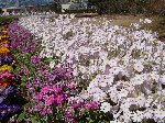 Ղނ()