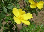 TEtHGeB_